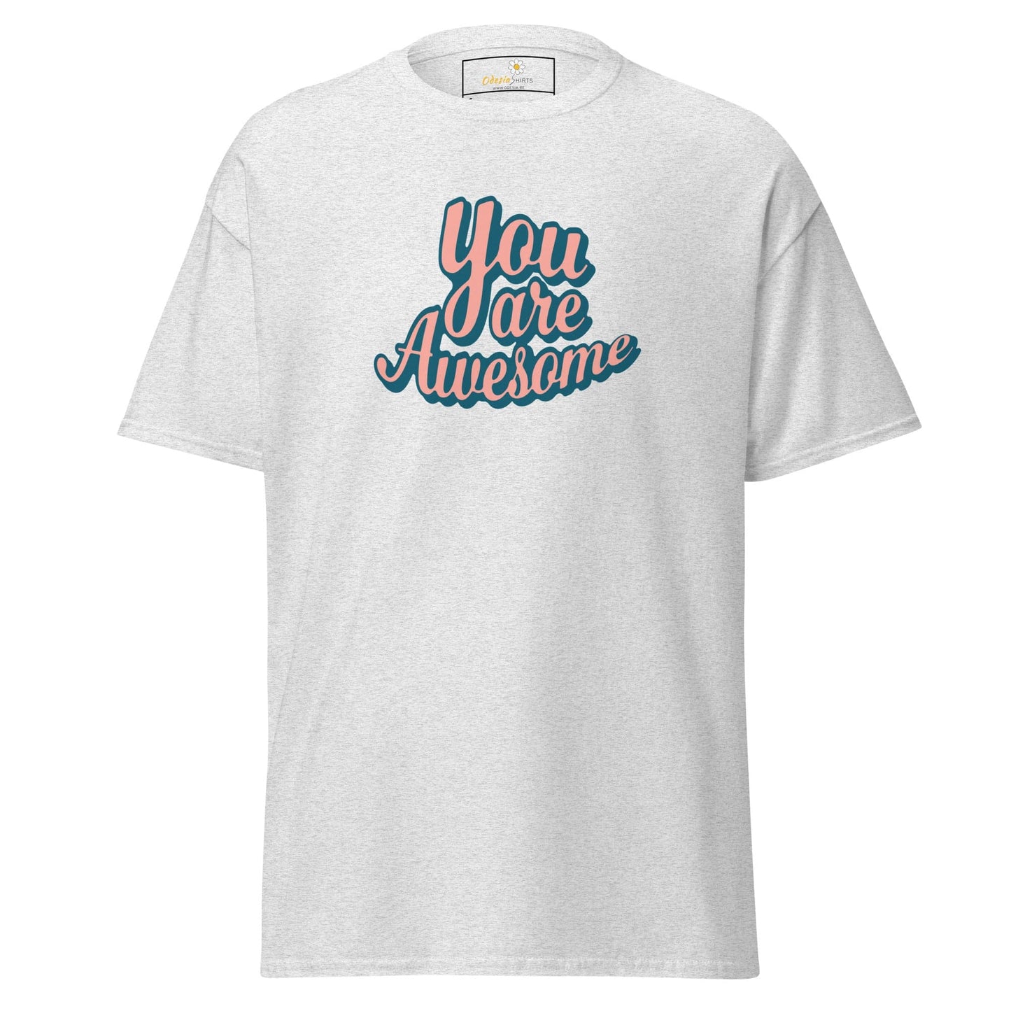 Unisex classic t-shirt - TEXT YOU ARE AWESOME - REGULAR - Ash / S