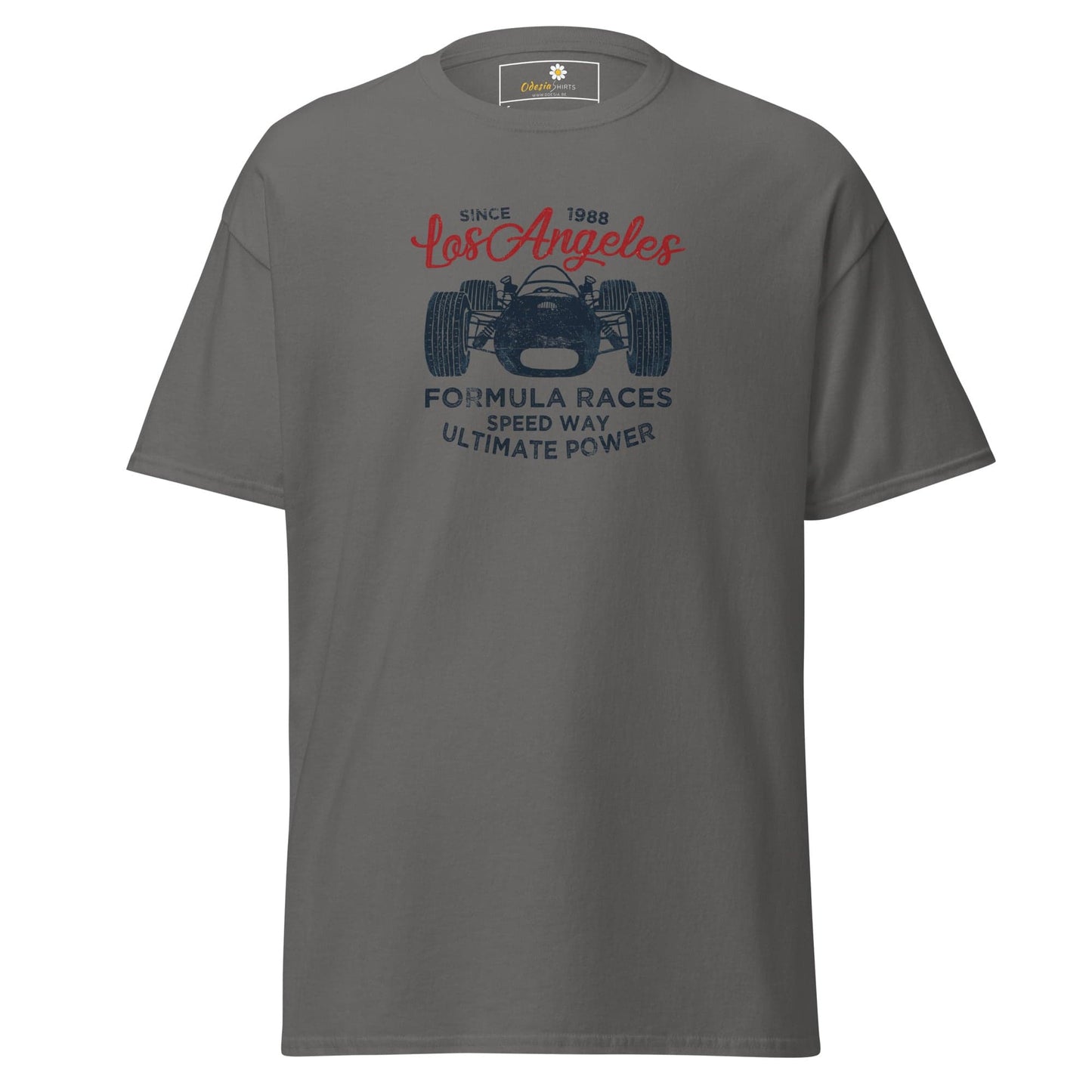 Gray T-shirt with race car graphic for men and women in sizes S to XL